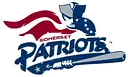 Somerset Patriots Baseball Team logo