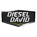 Diesel David Inc. logo