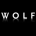 North Wolf Construction logo