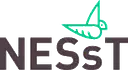 NESsT Inc logo