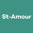Decor Amour & Hometown Treasures logo