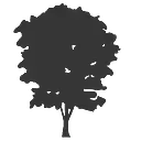 Cottonwood Residential logo