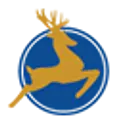 Dearing Compressor & Pump Co logo