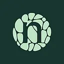 Novonesis logo