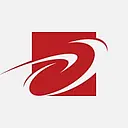 DIVERSE SOLUTIONS logo