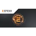 EFESO Management Consultants - Americas logo