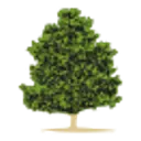 Fred Smith Company logo