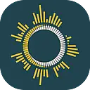 Brass Ring Brewing logo