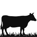 Panhandle products llc logo