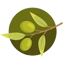 Ollies Trucking and Delivery, Inc. logo