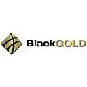 BLACKGOLD CAPITAL logo