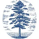 LOBLOLLY logo