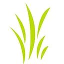 Sturms Seed Services, LLC logo