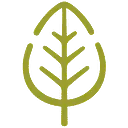 Insight Recruitment logo