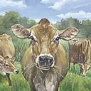 Riverbend Creamery logo