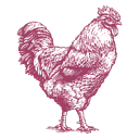 PCC Community Markets logo