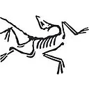 Arc'teryx Equipment logo