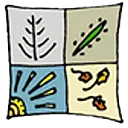 Four Seasons Natural Foods logo