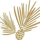 North State Aviation logo