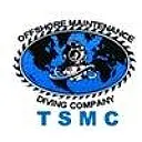 TSMC logo