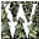 Winston Flowers logo