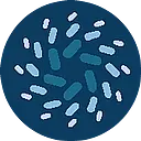 DEVVISION logo