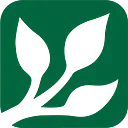 Del's Service Center logo