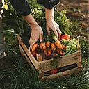 Chens BC Distribution logo