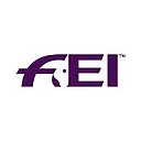 FEI INC logo
