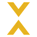 Texas Executives logo