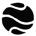 Pluto Security logo