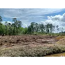 Burl Land Clearing LLC logo