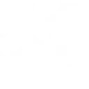 Tryon Distributing logo