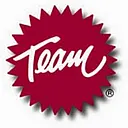 TEAM Industries logo