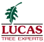 Lucas Tree Experts logo