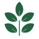 Fermented Food Holdings logo