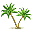 Casual Carolina logo