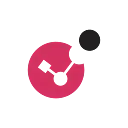 Check Point Software logo
