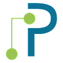 Palmetto Technology Group (PTG) logo