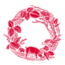 OLLI Salumeria Americana, LLC logo