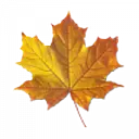 Maple Lane Transportation Systems Inc. logo
