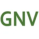 GNV Consulting Inc. logo
