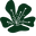 Azalea Market logo