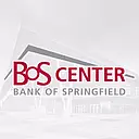 Bank of Springfield logo