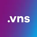 VNS logo
