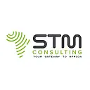 STM Consulting, Inc. logo
