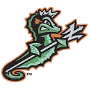 NORFOLK TIDES logo