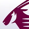  Qatar Airways logo