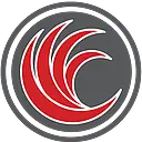 Red River Software logo