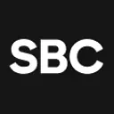 S&B Consulting Group logo